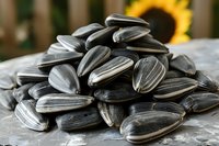 Close-up of black and white striped sunflower seeds on gray surface, perfect for healthy snack advertising, nutrition blog content or food packaging design background.