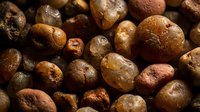 Closeup of roasted chickpeas with golden-brown texture, ideal for food and nutrition content, healthy snacking concepts, and culinary backgrounds.