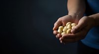 Male hands holding fresh macadamia nuts against dark background, suitable for food, nutrition, healthy eating, and agricultural marketing materials.