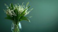 Beautiful lily of the valley flowers in glass vase against dark green background. Fresh spring bouquet with white bell-shaped blooms and green leaves for romantic floral design.