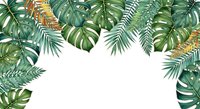 Tropical foliage border with green monstera and palm leaves, gold accents on white isolated background, ready for design, invitations, and web graphics.