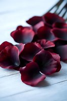 Deep red rose petals scattered on white wooden surface with soft natural lighting for romantic wedding decoration and spa wellness concepts.