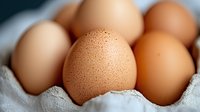 Fresh brown chicken eggs in cardboard carton, selective focus on speckled egg in foreground, soft natural lighting creates gentle shadows.