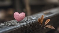 Pink heart shape on weathered wood surface with dried autumn leaves creating romantic rustic scene for Valentine's Day greeting cards and love concepts.