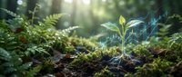 Seedling growing in forest soil with financial growth chart overlay, representing sustainable investment and green business development.