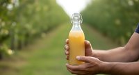 Hand holding bottle of fresh apple juice in orchard setting, showcasing organic fruit beverage production and farm-to-table healthy drinking concept.