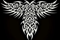 White tribal eagle design with intricate Celtic knot patterns and symmetrical wing details on black background, isolated for creative projects and tattoo designs.