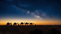 Camel caravan silhouette crossing desert dunes under starry night sky with Milky Way galaxy at sunset twilight for travel and adventure concepts.