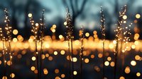 Delicate grass stems silhouetted against warm golden bokeh lights creating dreamy atmospheric background for nature photography and design projects.