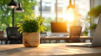 Sunlit wooden desk with green plant in ceramic pot, laptop and warm morning light streaming through window, creating cozy home office atmosphere.