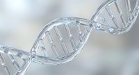 Crystal clear DNA double helix structure with transparent molecular bonds and genetic code sequences for scientific research and biotechnology applications.
