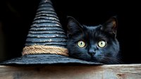 Black cat with bright yellow eyes peeking from behind wooden surface next to witch hat, creating mysterious Halloween atmosphere against dark background.
