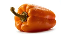 Orange bell pepper isolated on white background, fresh produce for cooking, healthy vegetable ingredient for culinary and nutrition content.