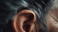 Close-up of elderly person's ear with gray hair, showing detailed skin texture and natural aging features for healthcare or hearing loss awareness campaigns.