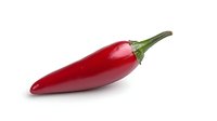Fresh red chili pepper with green stem isolated on white background, vibrant glossy surface shows natural texture and color for food photography and design.