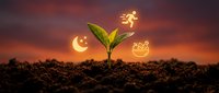 Young seedling sprouting from soil with glowing moon, star, and gift box icons representing growth, success, and renewable energy for business and sustainability concepts.