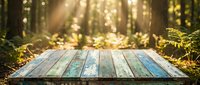 Wooden table surface with blurred forest background and golden sunlight filtering through trees, suitable for product placement and nature-themed designs.
