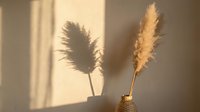 Dried pampas grass in golden vase casting soft shadow on neutral wall, creating minimalist home decor and interior design aesthetic for modern living spaces.