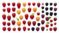 Assorted fresh raspberries and berries in red, golden, and black varieties isolated on white background, ready for food, nutrition, and culinary design projects.