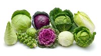 Fresh assorted cabbage varieties including green, purple, savoy, napa, and brussels sprouts arranged on white background for healthy cooking and nutrition.