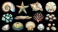 Seashells, starfish, sea urchin, coral, and driftwood isolated on transparent background. Ready for t-shirt designs, clipart, stickers, sublimation, and print-on-demand products.
