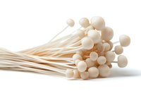 Fresh white enoki mushrooms bunch on white background, raw organic Japanese fungi with long stems and small round caps, isolated macro food photography.