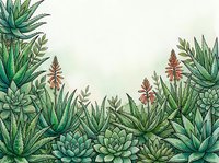 Watercolor succulent garden border with aloe vera and blooming red flowers, lush green botanical frame with copy space for text or design.