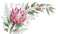 King protea flower with botanical foliage, fern leaves and small flowering branches isolated on white background for design, wedding invitations, and floral artwork projects.