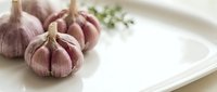 Fresh garlic bulbs with papery skin arranged on a white ceramic plate with herb garnish, suitable for cooking, recipe, and food styling projects.