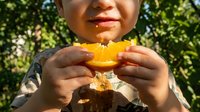 Young child with medium skin tone holding and eating a fresh orange slice outdoors on sunny day with green foliage background.