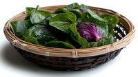 Woven basket filled with fresh mixed salad greens including vibrant purple radicchio and leafy vegetables, isolated on white background for food styling and culinary design use.