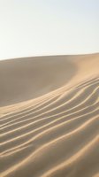 Golden sand dunes with rippled texture patterns created by wind erosion in arid desert landscape during soft natural lighting conditions.