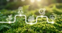 Green moss nature background with white sustainability icons representing eco-friendly business growth, renewable energy and environmental protection concepts.