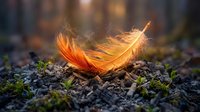 Glowing orange feather resting on mossy forest ground with magical warm light effects and bokeh background creating ethereal natural scene for spiritual concepts.