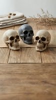 Three decorative skulls arranged on rustic wooden surface with neutral textiles and dried grass creating atmospheric Halloween or gothic home decor styling composition.