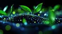 Young green plant sprouts emerging from soil with water droplets against dark background, creating magical bokeh effect with blue and green light dots.