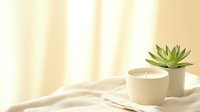 Minimalist composition with white ceramic candle and succulent plant on soft beige fabric, morning sunlight casting gentle shadows, creating peaceful atmosphere.