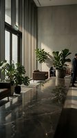 Modern office lobby with concrete walls, large windows, potted plants and natural sunlight creating shadows on polished floor for corporate interior design.