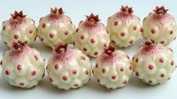 Fresh prickly pear cactus fruits arranged in rows showing white flesh and pink spikes, natural organic produce on light background.