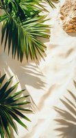 Fresh palm leaves casting natural shadows on white sand background, creating minimal tropical composition with organic textures and sunlight play.