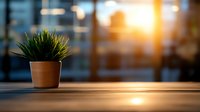 Small green plant in terracotta pot on wooden table against blurred window background with warm sunset light creating cozy atmosphere for home or office decor.