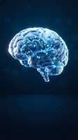 Digital brain with glowing blue circuit patterns on dark background representing artificial intelligence and neural networks in technology.