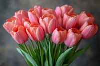 Bunch of pink and coral tulips with green stems arranged in a bouquet against a neutral background, suitable for floral design, greeting cards, and spring-themed projects.