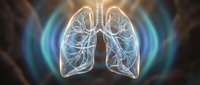 Glowing lungs with transparent airways and bronchial branches, illuminated in blue and gold tones against dark background for medical and healthcare education.