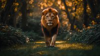 Majestic male lion walking through mystical forest path at golden sunset, dramatic lighting illuminates magnificent mane while surrounded by lush foliage and bokeh effects.