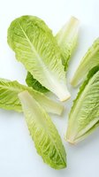 Fresh romaine lettuce leaves arranged on a white background, showcasing crisp green texture for healthy eating, salad recipes, and food blogs.