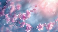 Delicate pink cherry blossoms against soft blue background with dreamy bokeh effect, creating romantic spring atmosphere for wedding and nature designs.