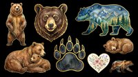 Watercolor bear clipart set with grizzly, bear face, paw print, sleeping cub, and floral heart, isolated on transparent background, ready for stickers, t-shirt design, and print on demand.