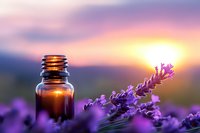 Essential oil bottle among blooming lavender flowers at sunset, purple petals in soft focus foreground, golden sun and pink sky background creates serene mood.