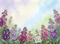 Watercolor floral border with purple, pink, and white wildflowers on soft pastel background, perfect for greeting cards and invitations.